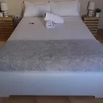 Valencia viva